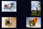 mei 2015 BOTANICA-BEELD VAN HET LEVEN